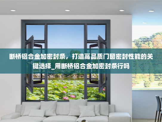 断桥铝合金加密封条，打造高品质门窗密封性能的关键选择_用断桥铝合金加密封条行吗