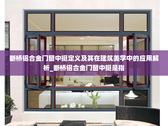 断桥铝合金门窗中挺定义及其在建筑美学中的应用解析_断桥铝合金门窗中挺是指