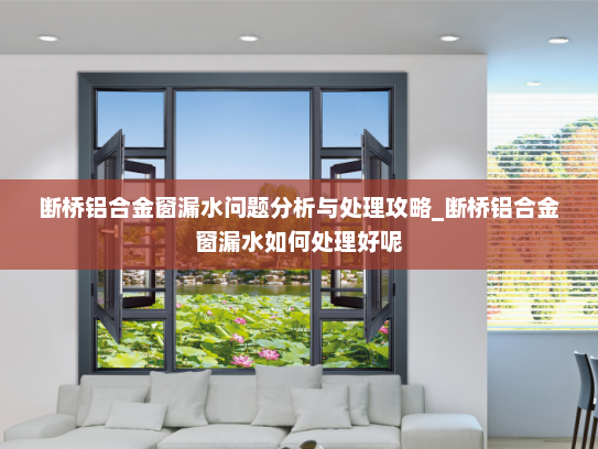 断桥铝合金窗漏水问题分析与处理攻略_断桥铝合金窗漏水如何处理好呢