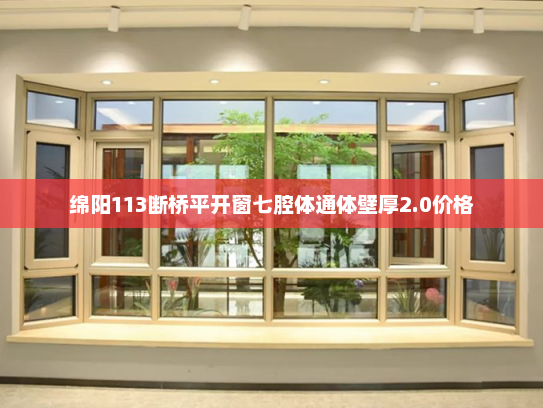 绵阳113断桥平开窗七腔体通体壁厚2.0价格