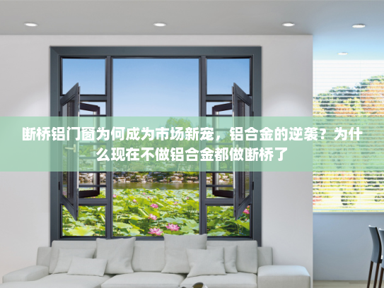 断桥铝门窗为何成为市场新宠，铝合金的逆袭？为什么现在不做铝合金都做断桥了
