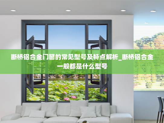 断桥铝合金门窗的常见型号及特点解析_断桥铝合金一般都是什么型号
