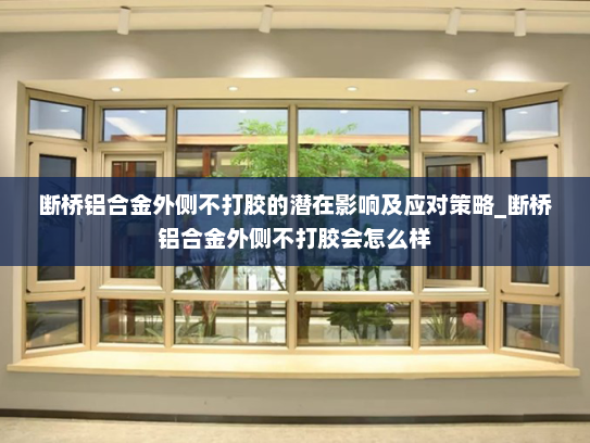断桥铝合金外侧不打胶的潜在影响及应对策略_断桥铝合金外侧不打胶会怎么样