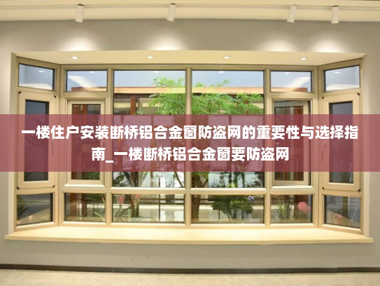 一楼住户安装断桥铝合金窗防盗网的重要性与选择指南_一楼断桥铝合金窗要防盗网