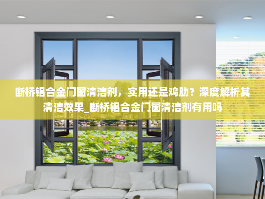断桥铝合金门窗清洁剂，实用还是鸡肋？深度解析其清洁效果_断桥铝合金门窗清洁剂有用吗