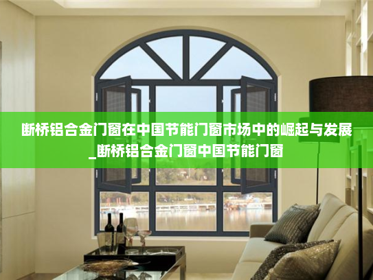断桥铝合金门窗在中国节能门窗市场中的崛起与发展_断桥铝合金门窗中国节能门窗